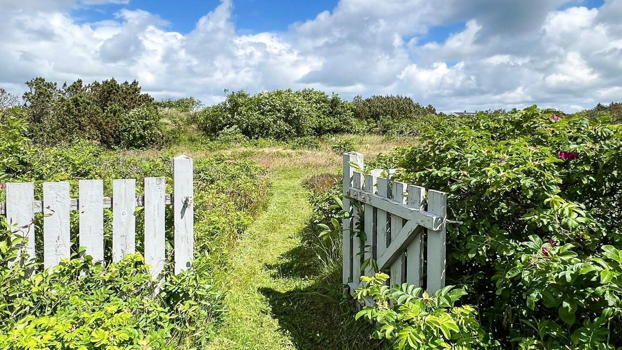 Photo of Outdoor in Lodbjerg Hede