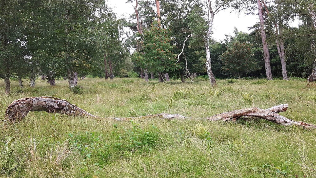 Photo of Others in Idestrup