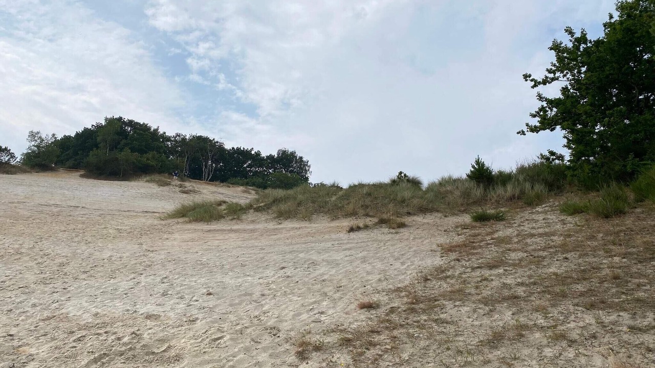 Photo of Others in Hvidbjerg Strand