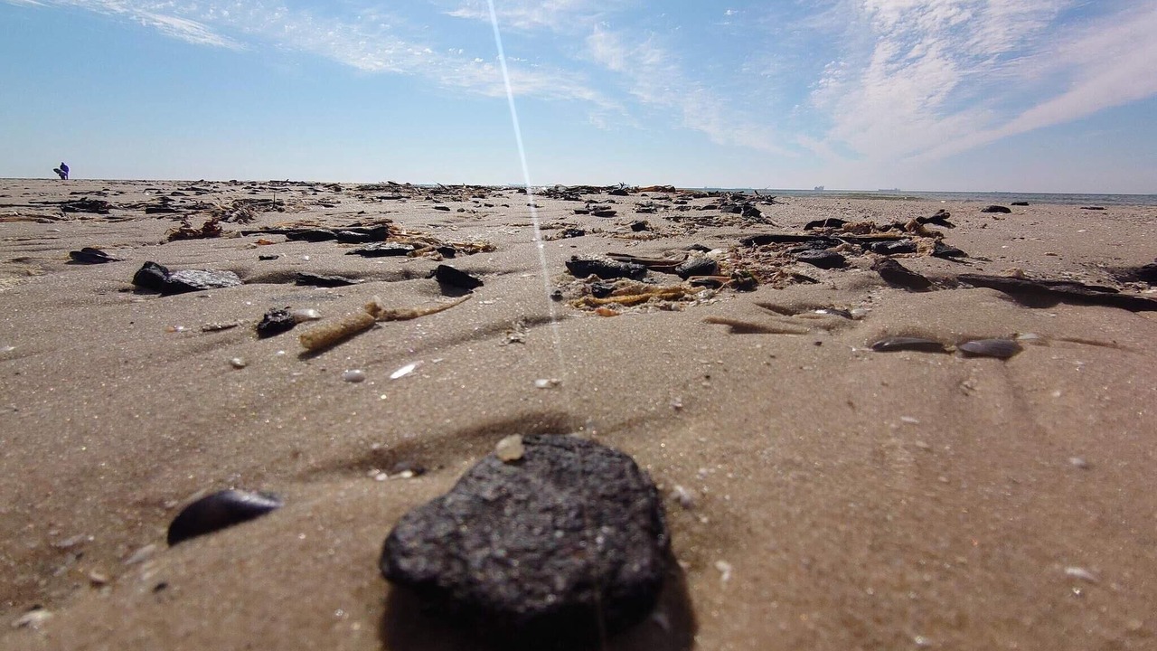 Photo of Others in Skagen