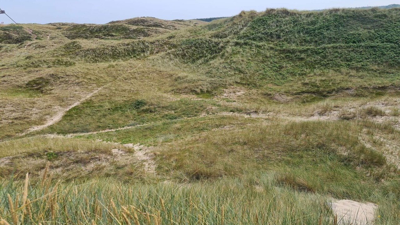 Photo of Others in Skagen