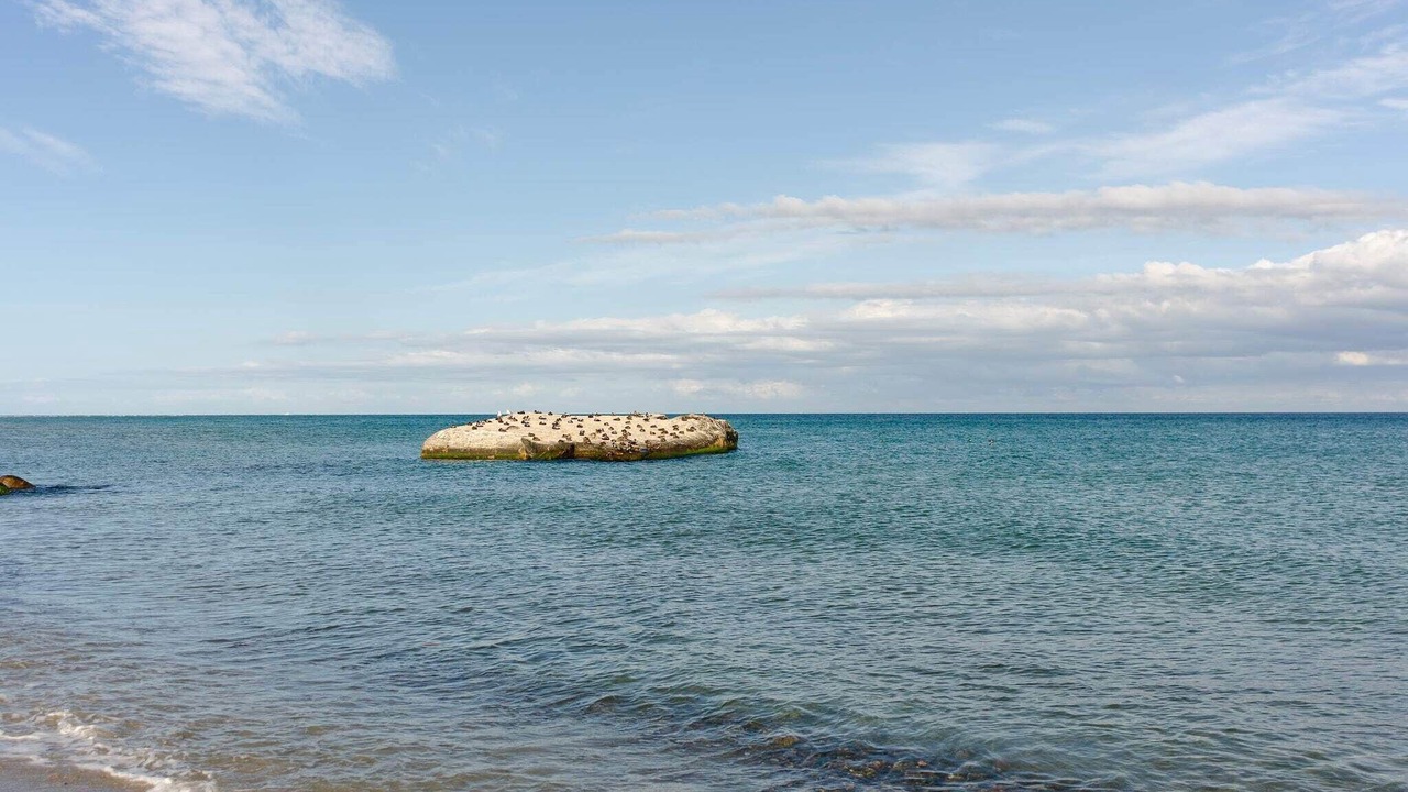 Photo of Others in Skagen