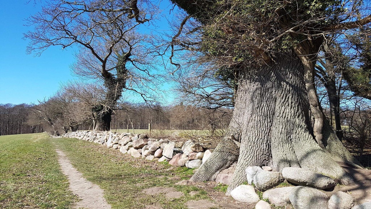Photo of Others in Vordingborg