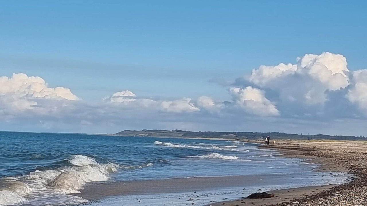 Photo of Others in Torup Strand