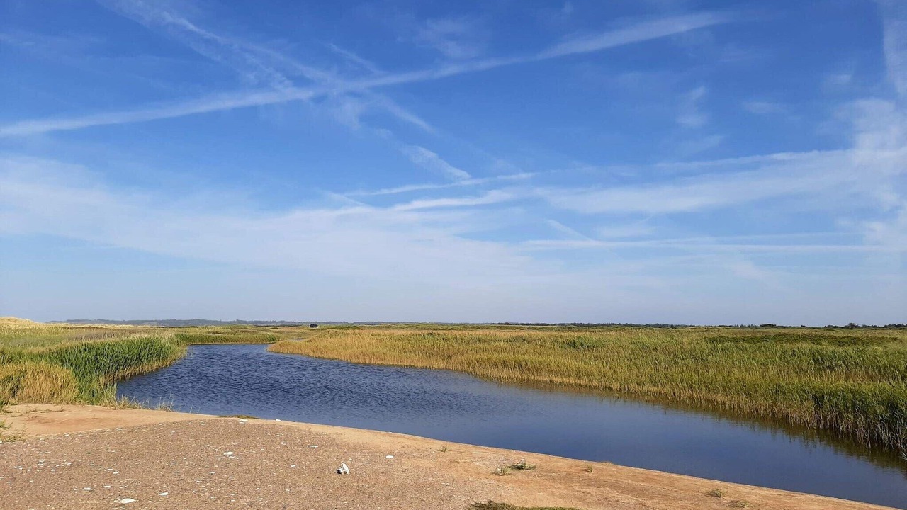 Photo of Others in Torup Strand