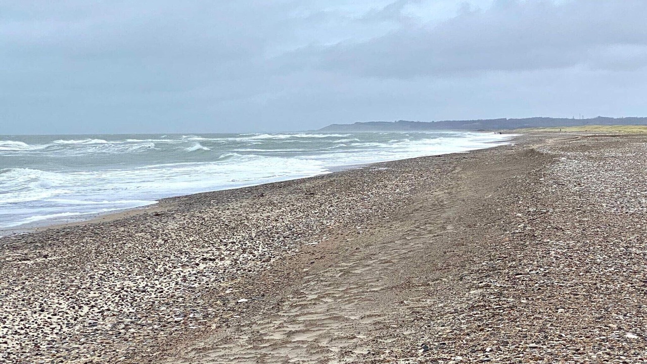Photo of Others in Torup Strand