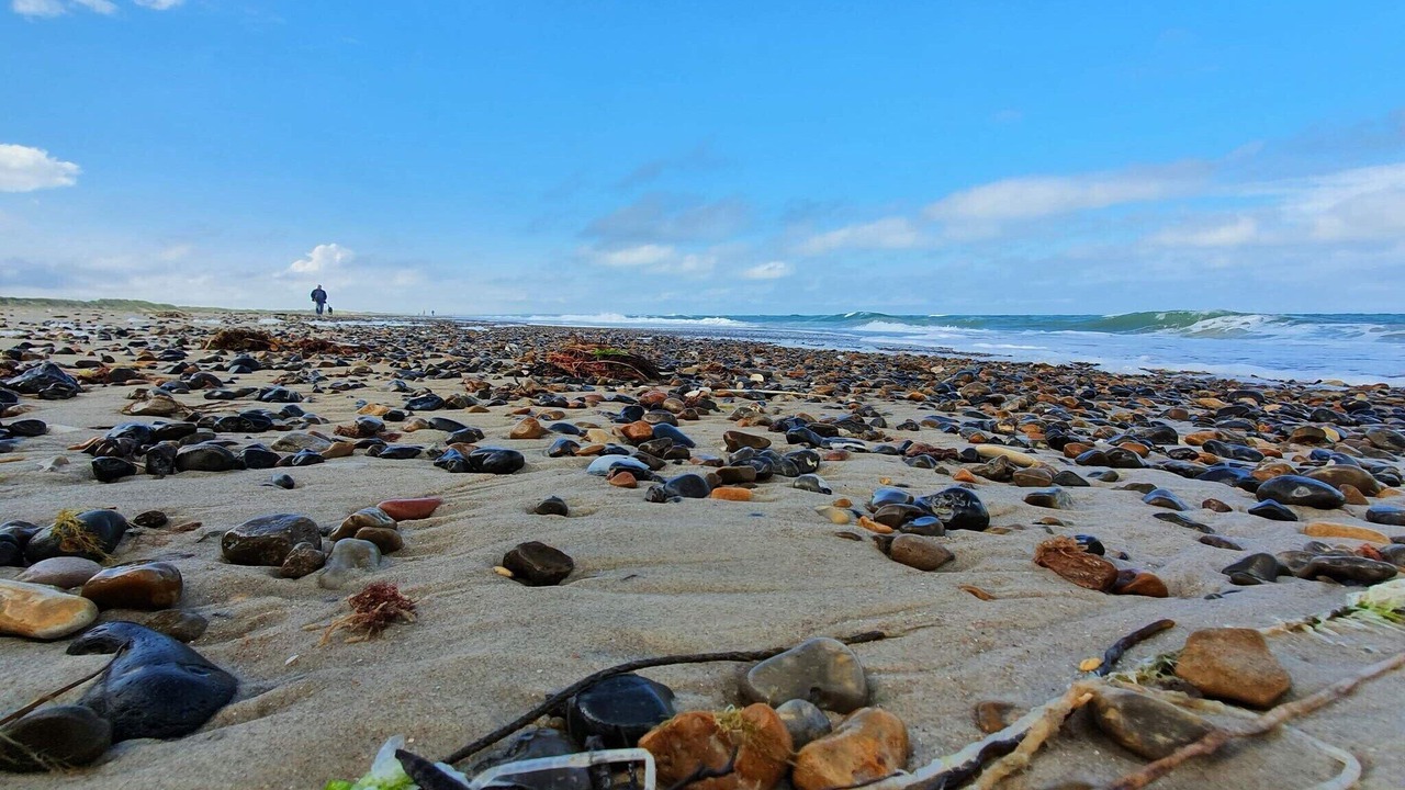 Photo of Others in Torup Strand