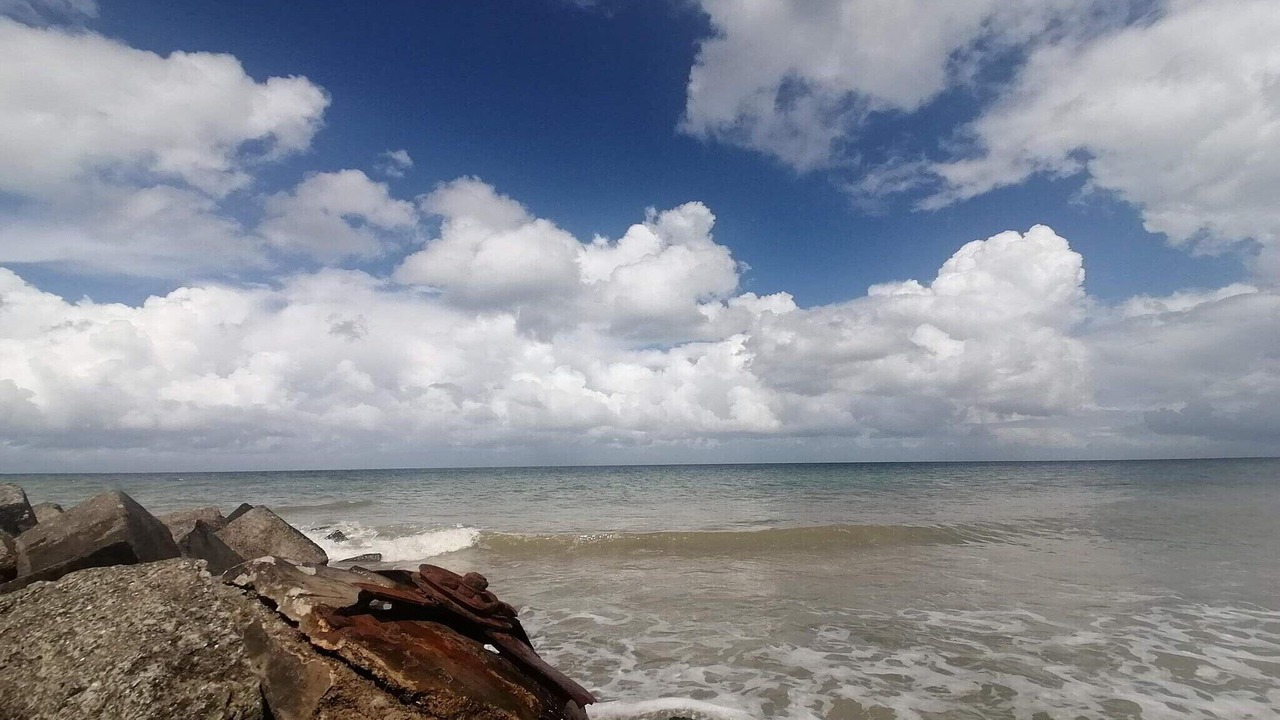 Photo of Others in Torup Strand