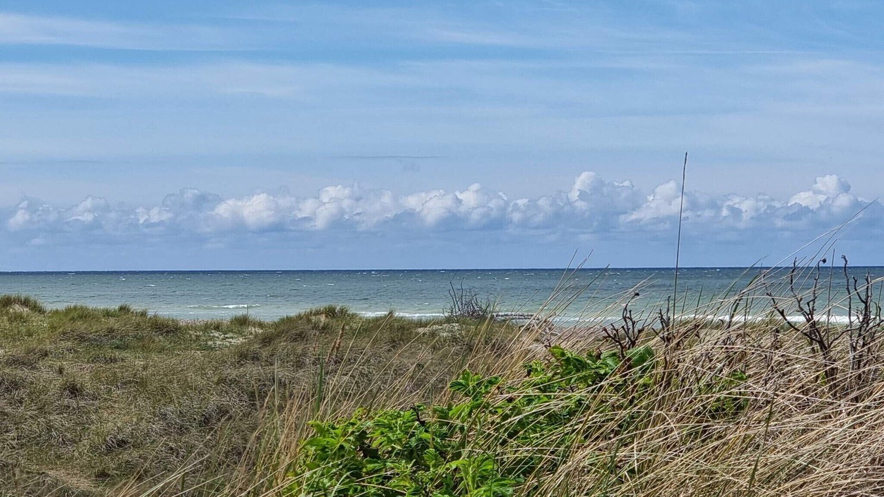 Photo of Others in Torup Strand