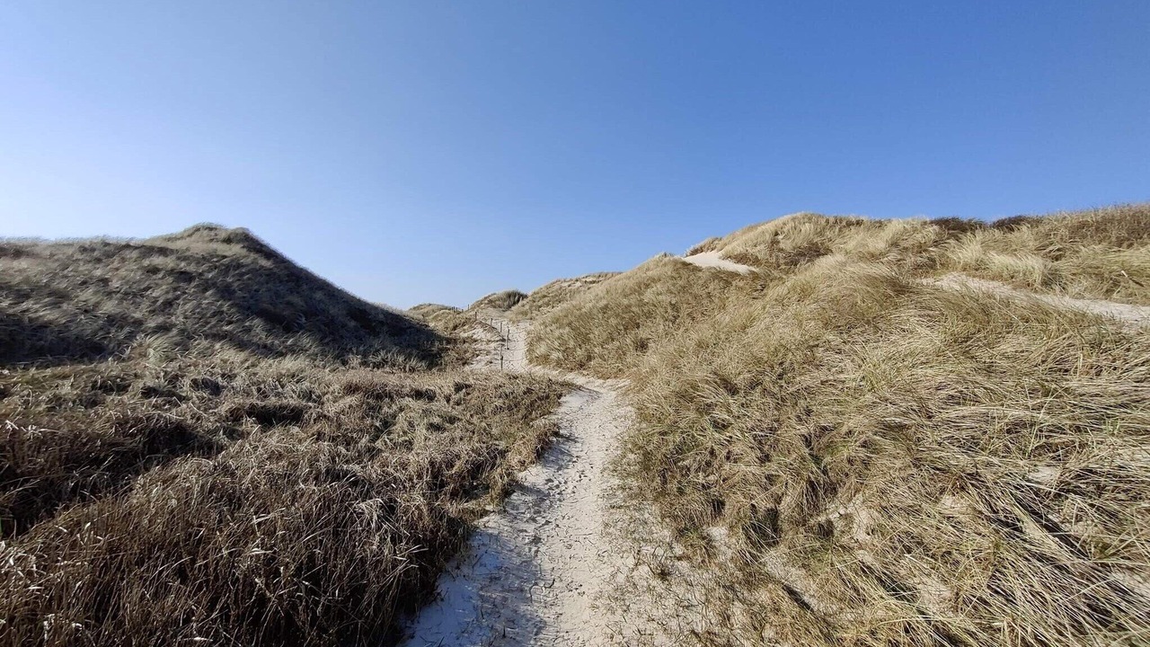 Photo of Others in Torup Strand