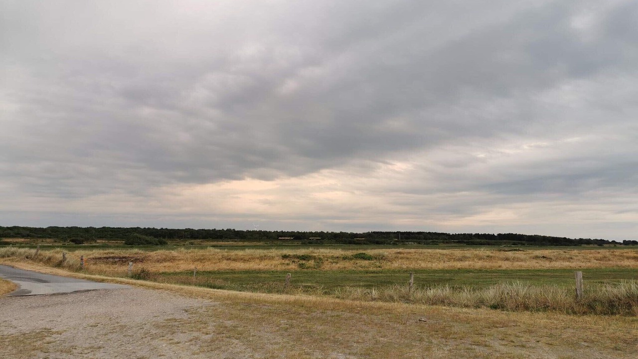 Photo of Others in Vestero Havn