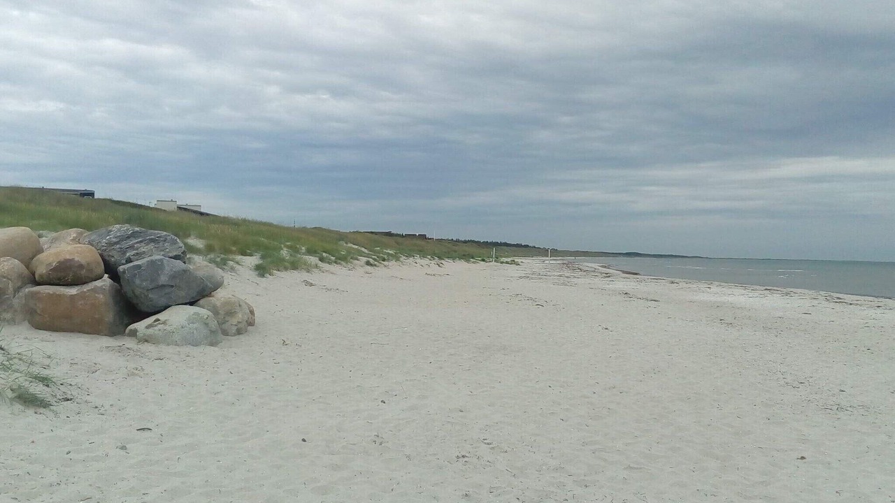 Photo of Others in Vestero Havn