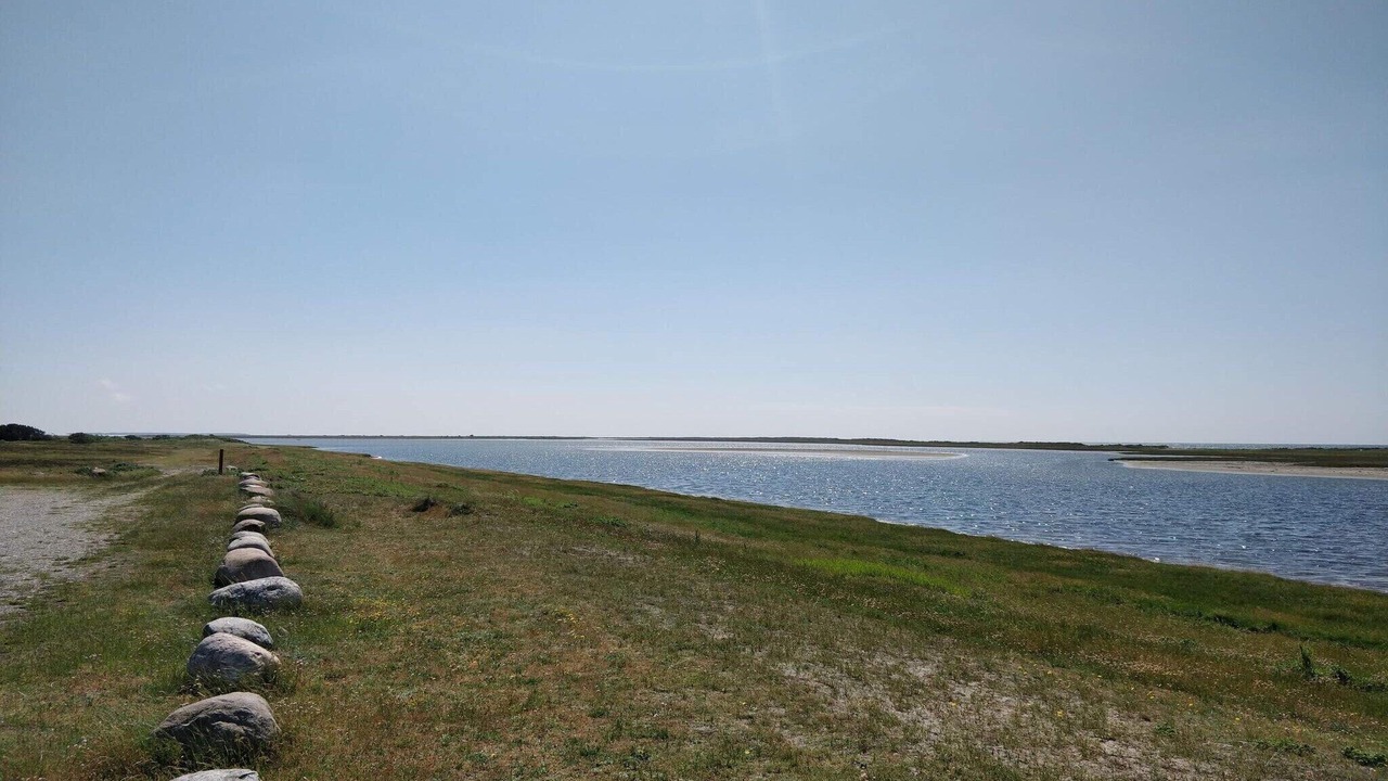Photo of Others in Vestero Havn