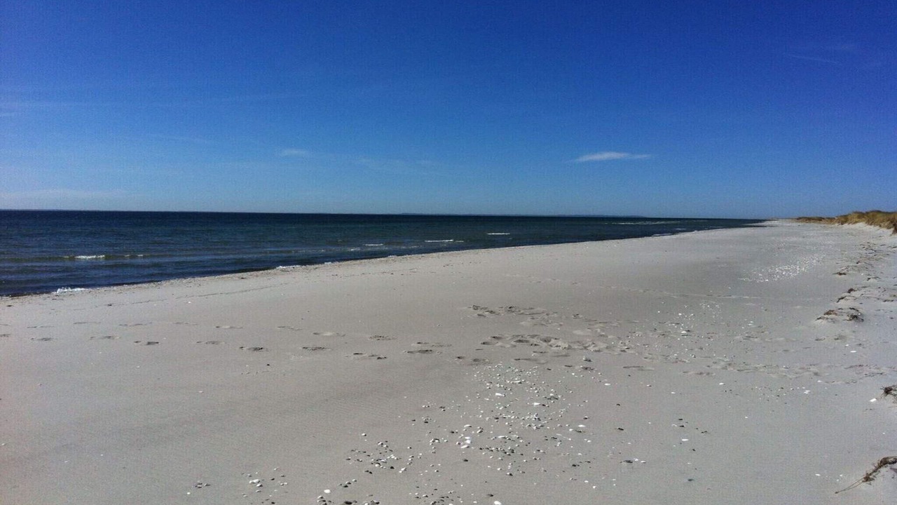Photo of Others in Vestero Havn