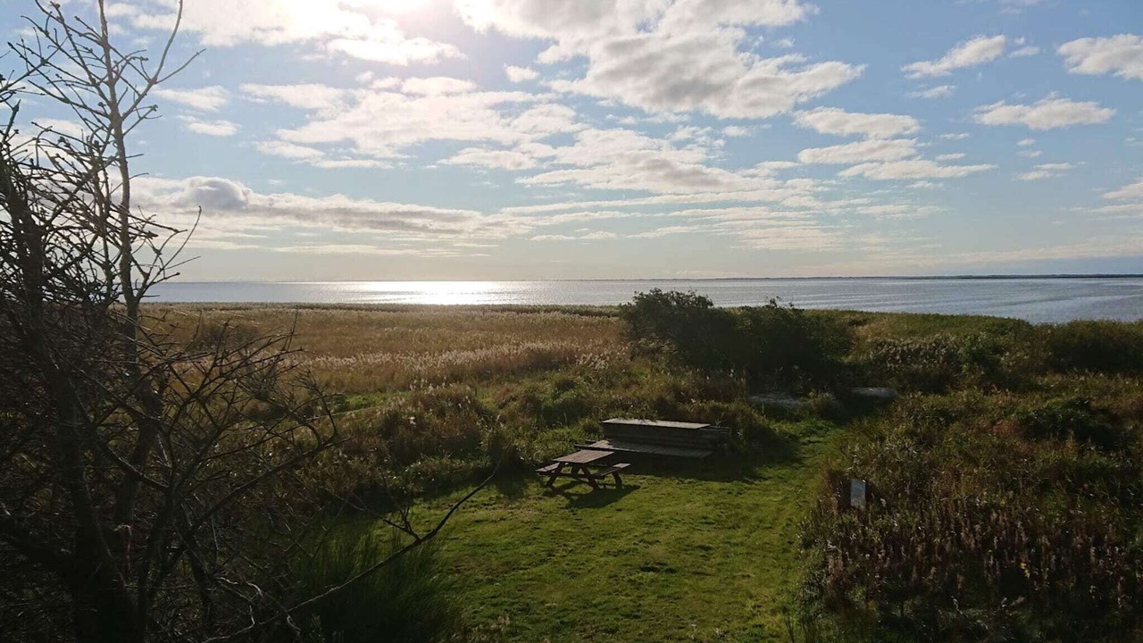 Photo of Outdoor in Skjern
