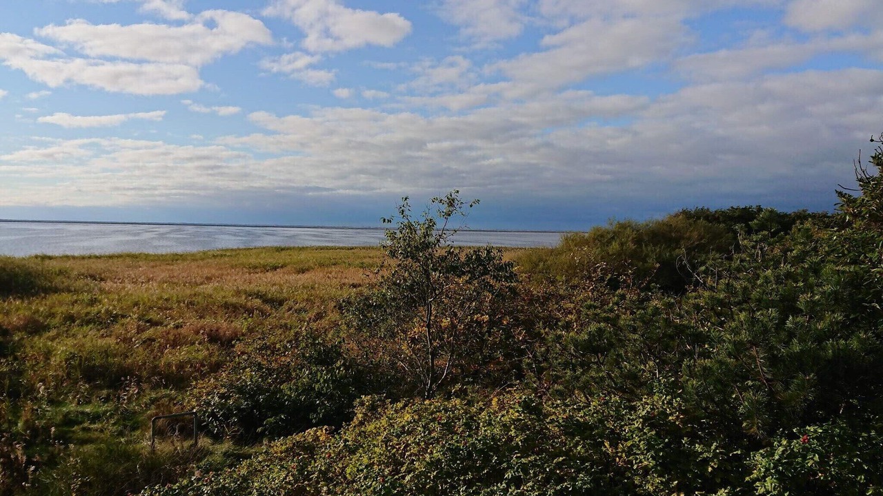 Photo of Others in Skjern