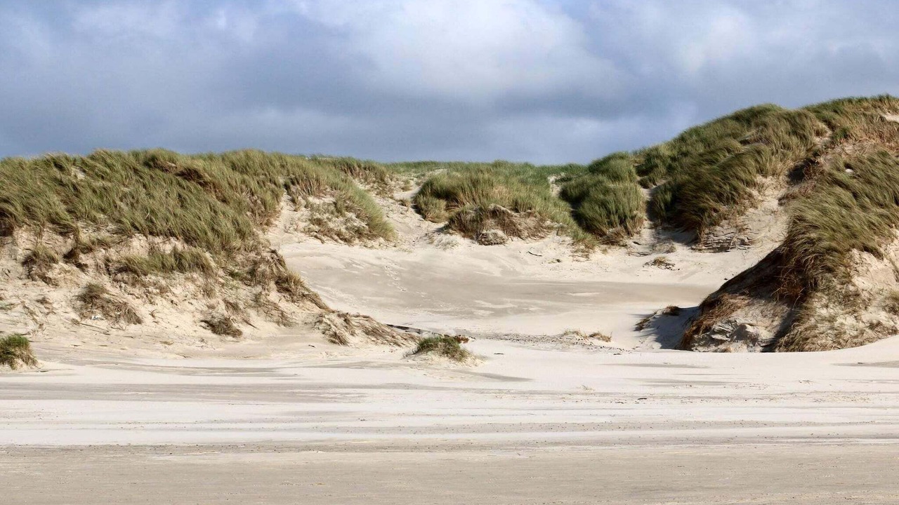 Photo of Others in Henne Strand