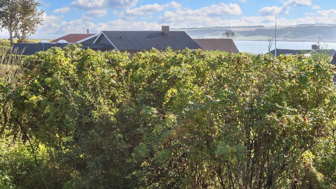Photo of Outdoor in Lemvig