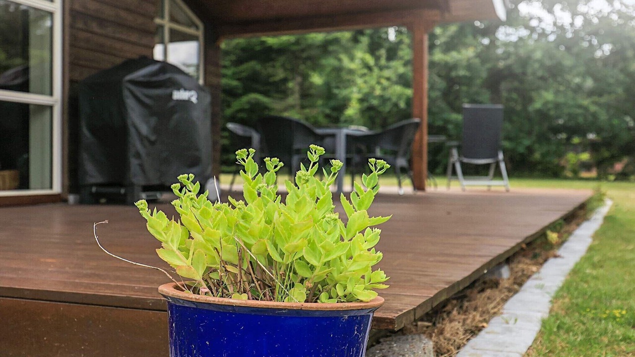 Photo of Outdoor in Trend