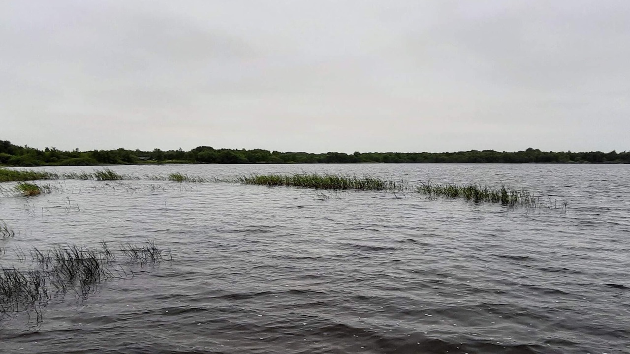 Photo of Others in Ansager