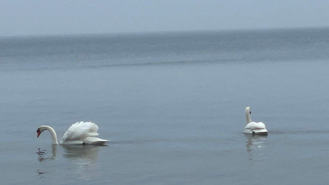 Photo of Others in Faldsled