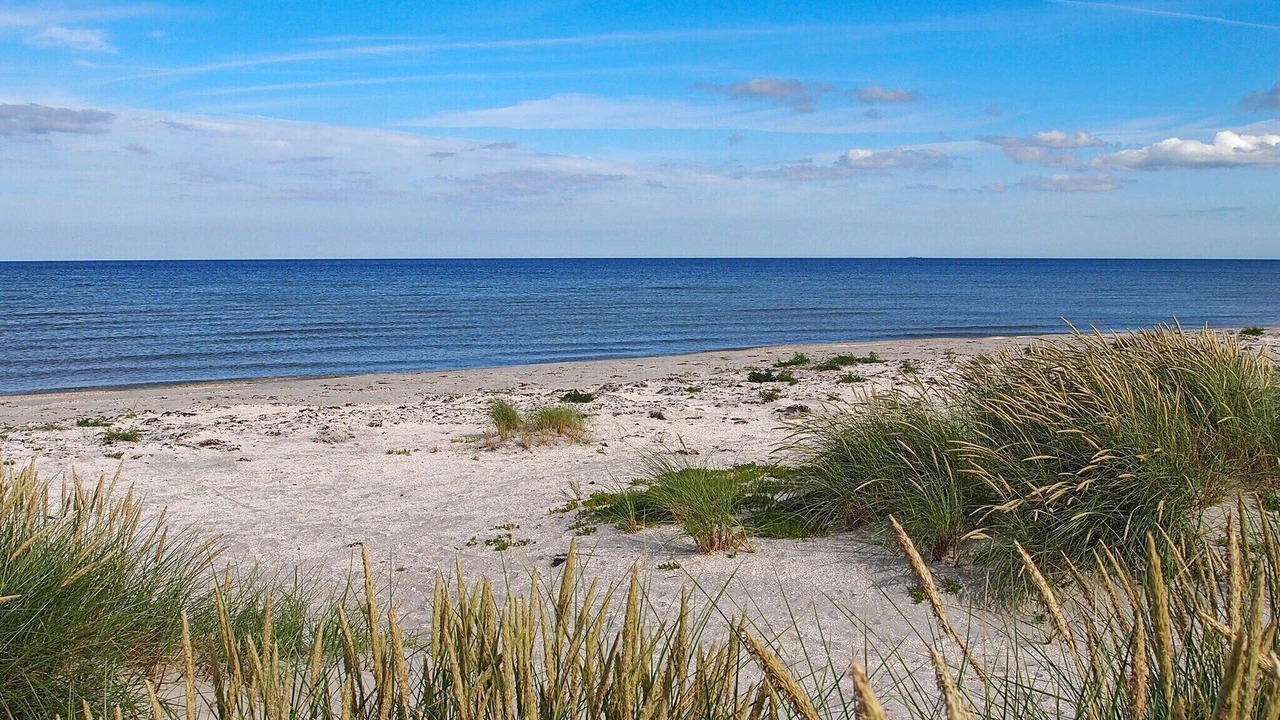 Photo of Others in Læsø