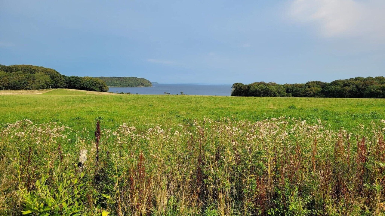Photo of Others in Vester Grønning
