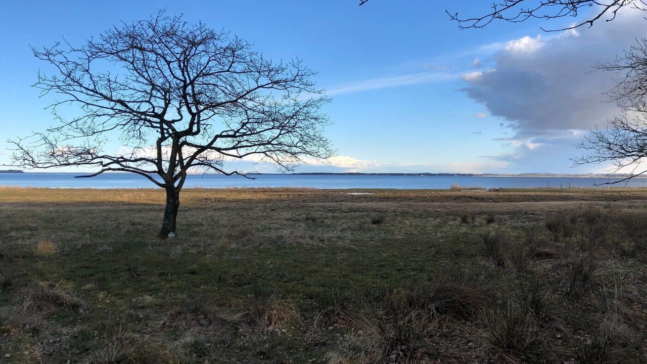 Photo of Others in Vester Grønning