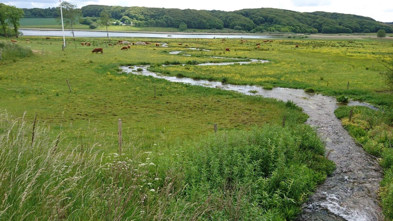 Photo of Others in Vester Grønning