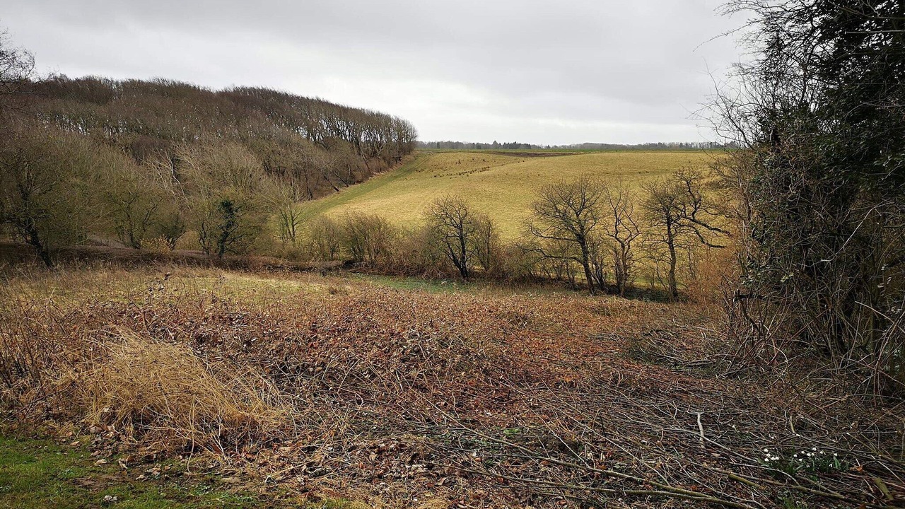 Photo of Others in Vester Grønning