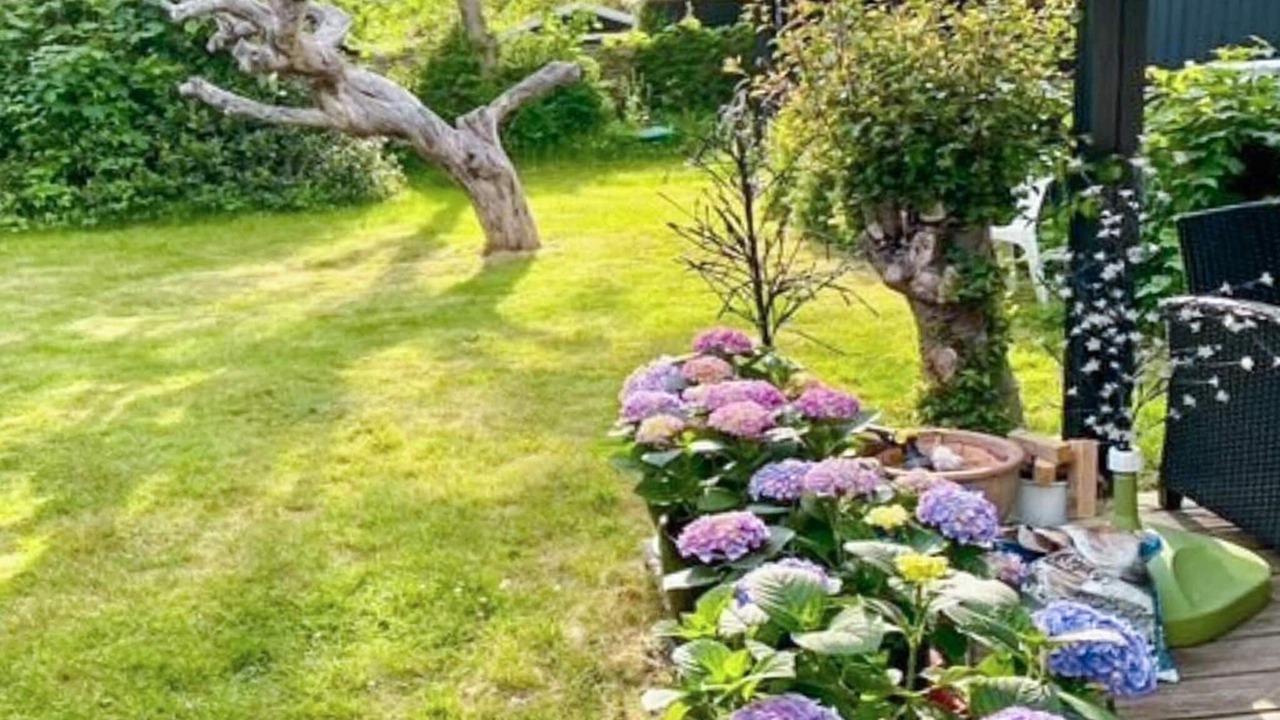 Photo of Outdoor in Tisvildeleje