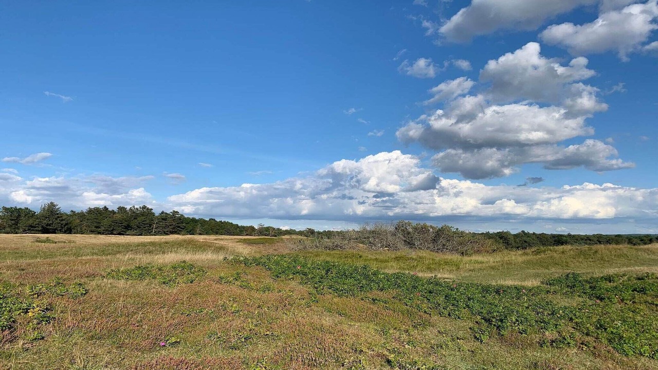 Photo of Others in Tisvildeleje