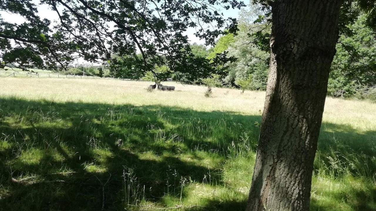 Photo of Others in Holeby