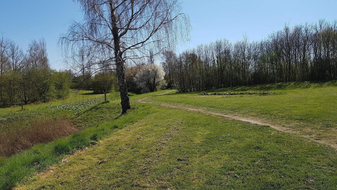 Photo of Others in Holeby