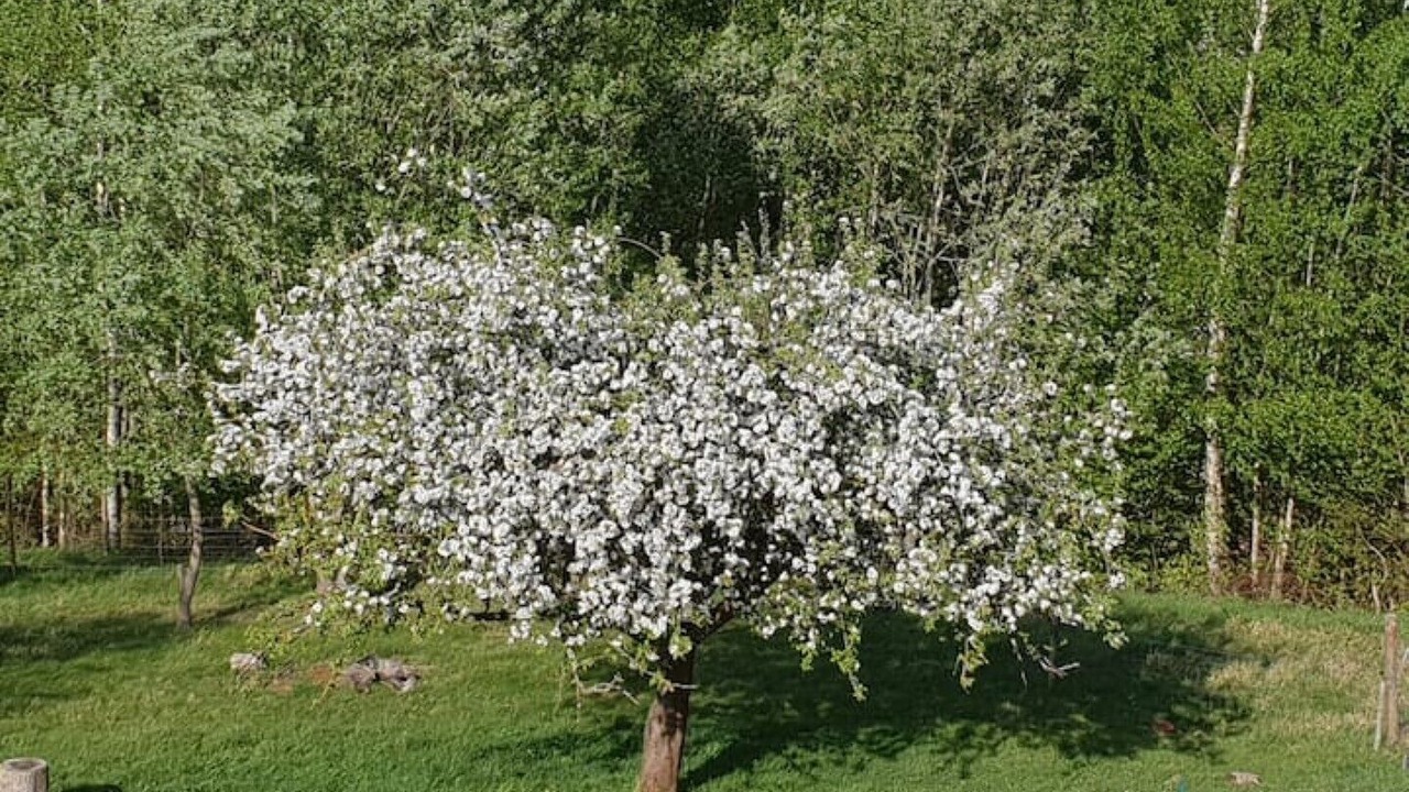 Photo of Outdoor in Neuviller-la-Roche