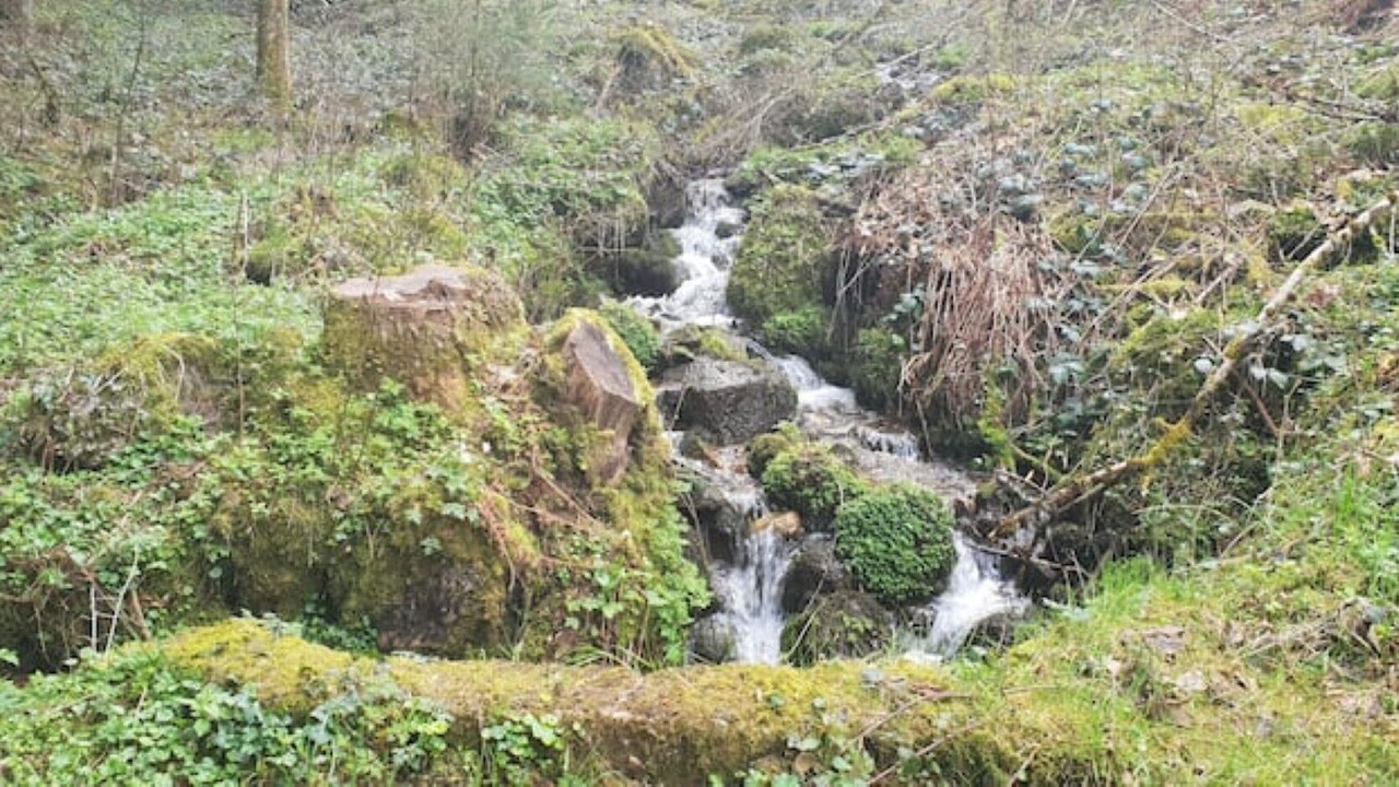 Photo of Outdoor in Neuviller-la-Roche