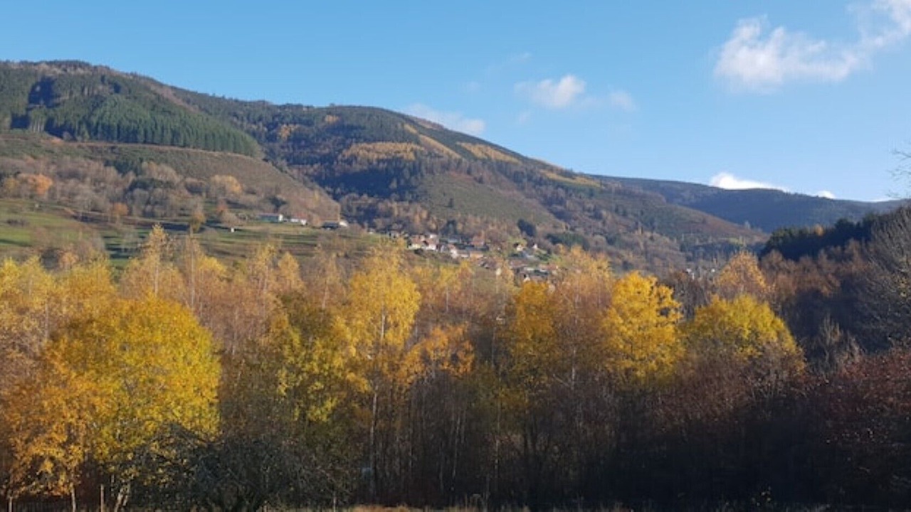 Photo of Outdoor in Neuviller-la-Roche