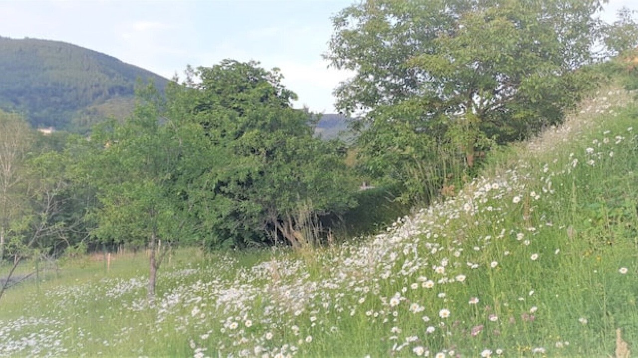 Photo of Outdoor in Neuviller-la-Roche