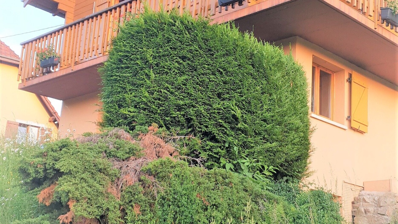 Photo of Outdoor in Neuviller-la-Roche