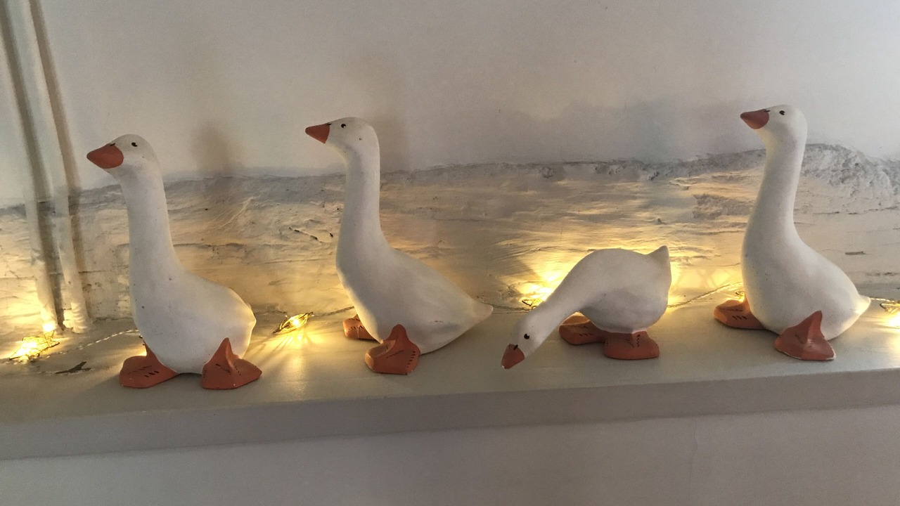 Photo of Others in Livarot-Pays-d'Auge