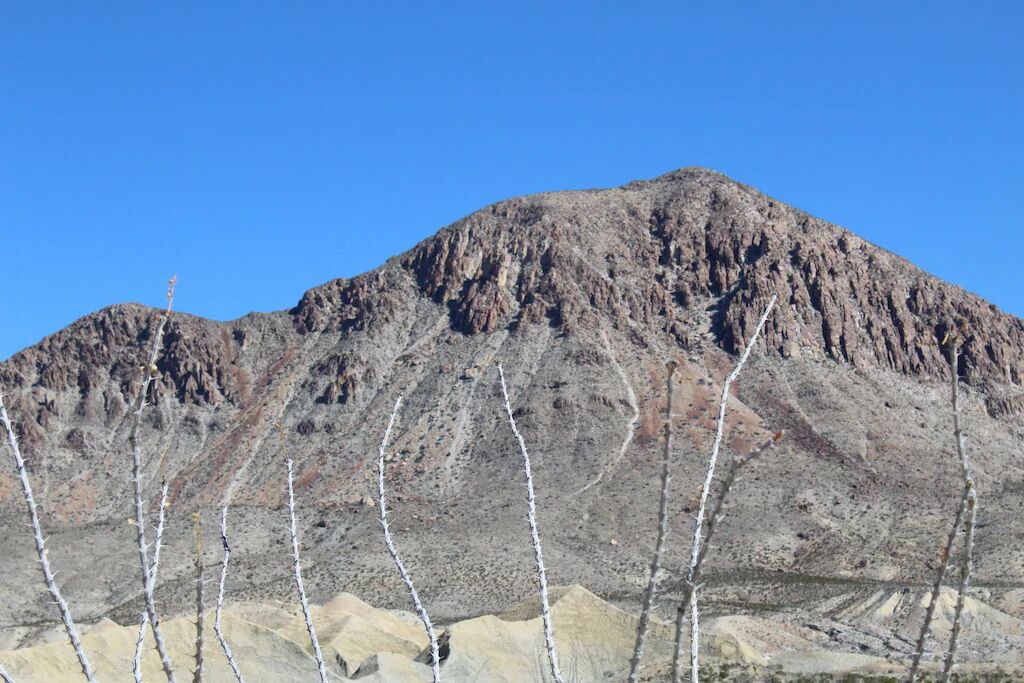 Photo of Others in Study Butte-Terlingua