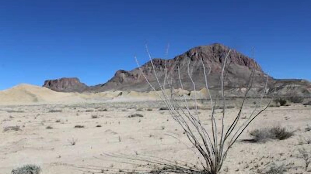 Photo of Others in Study Butte-Terlingua