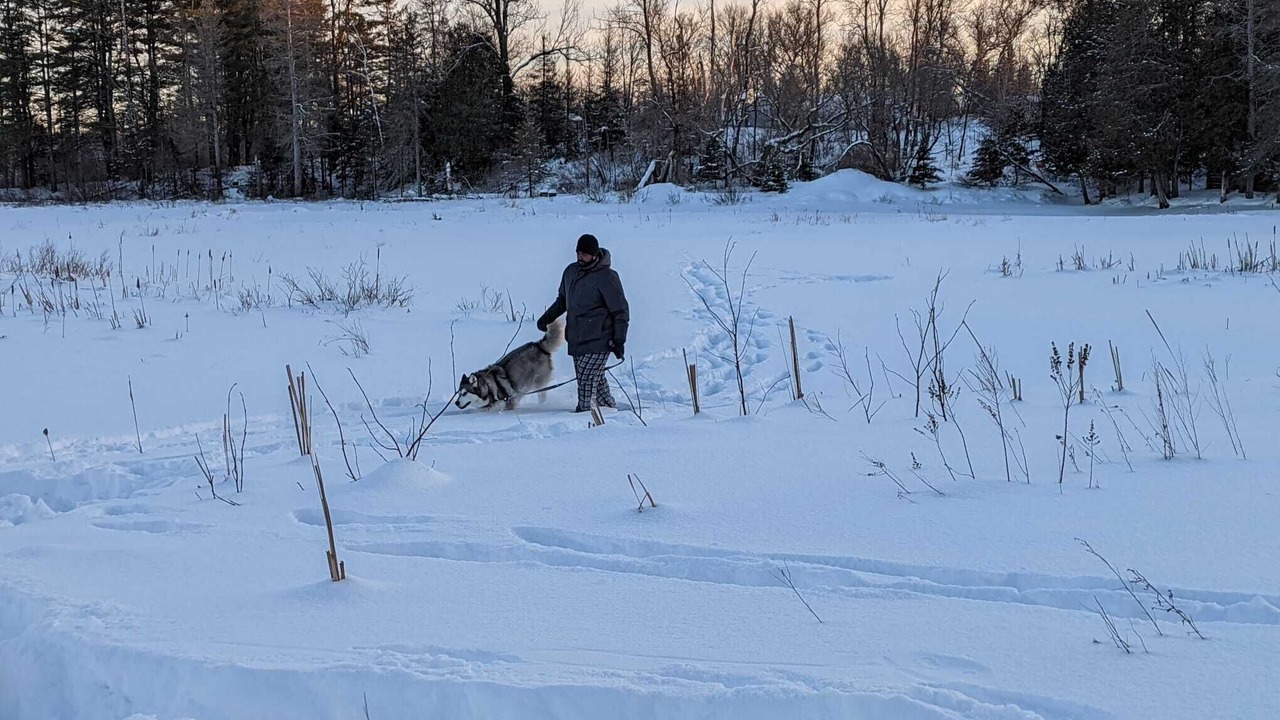 Photo of Others in Gilmour
