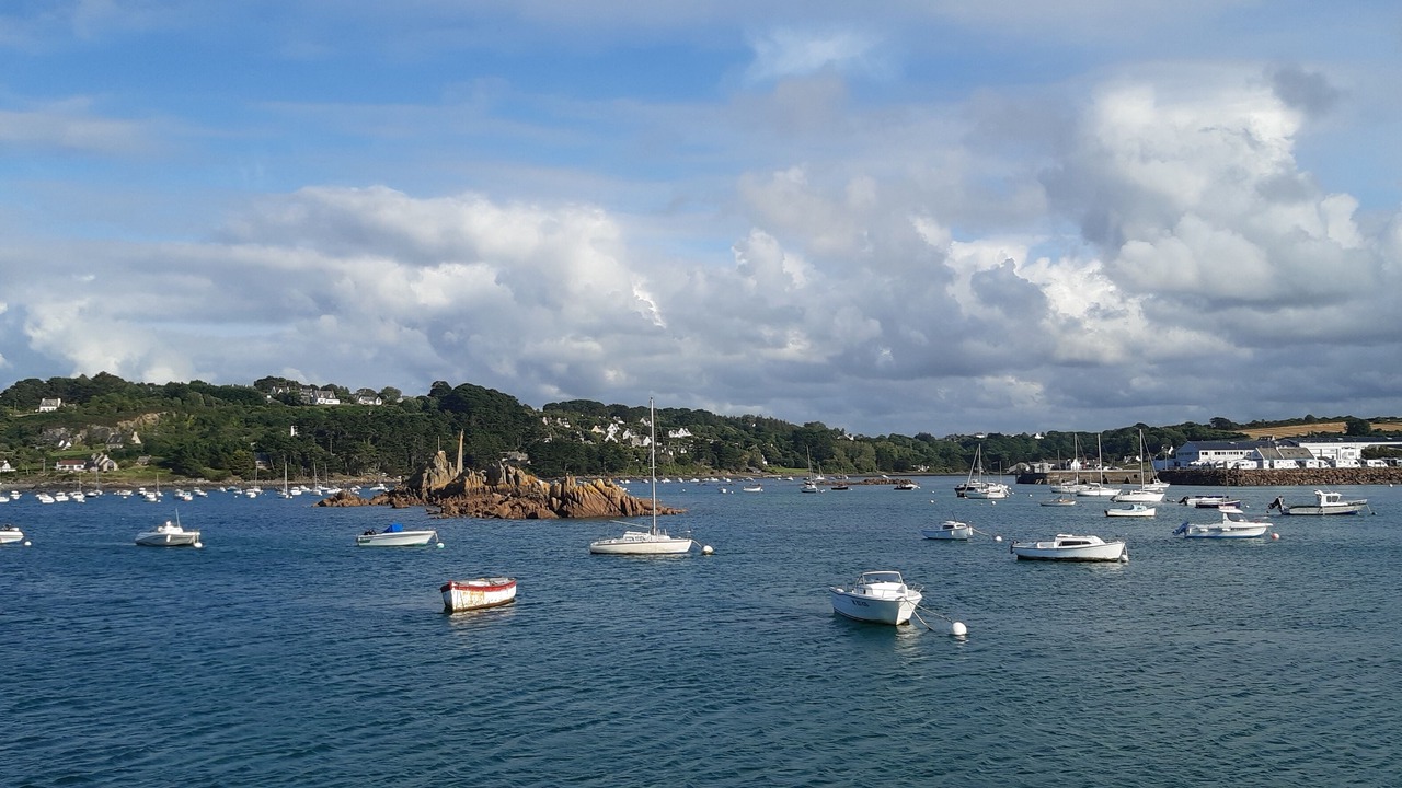 Photo of Others in Plougasnou