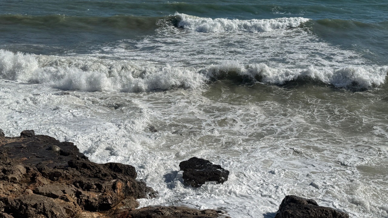 Photo of Others in Vilanova I la Geltru