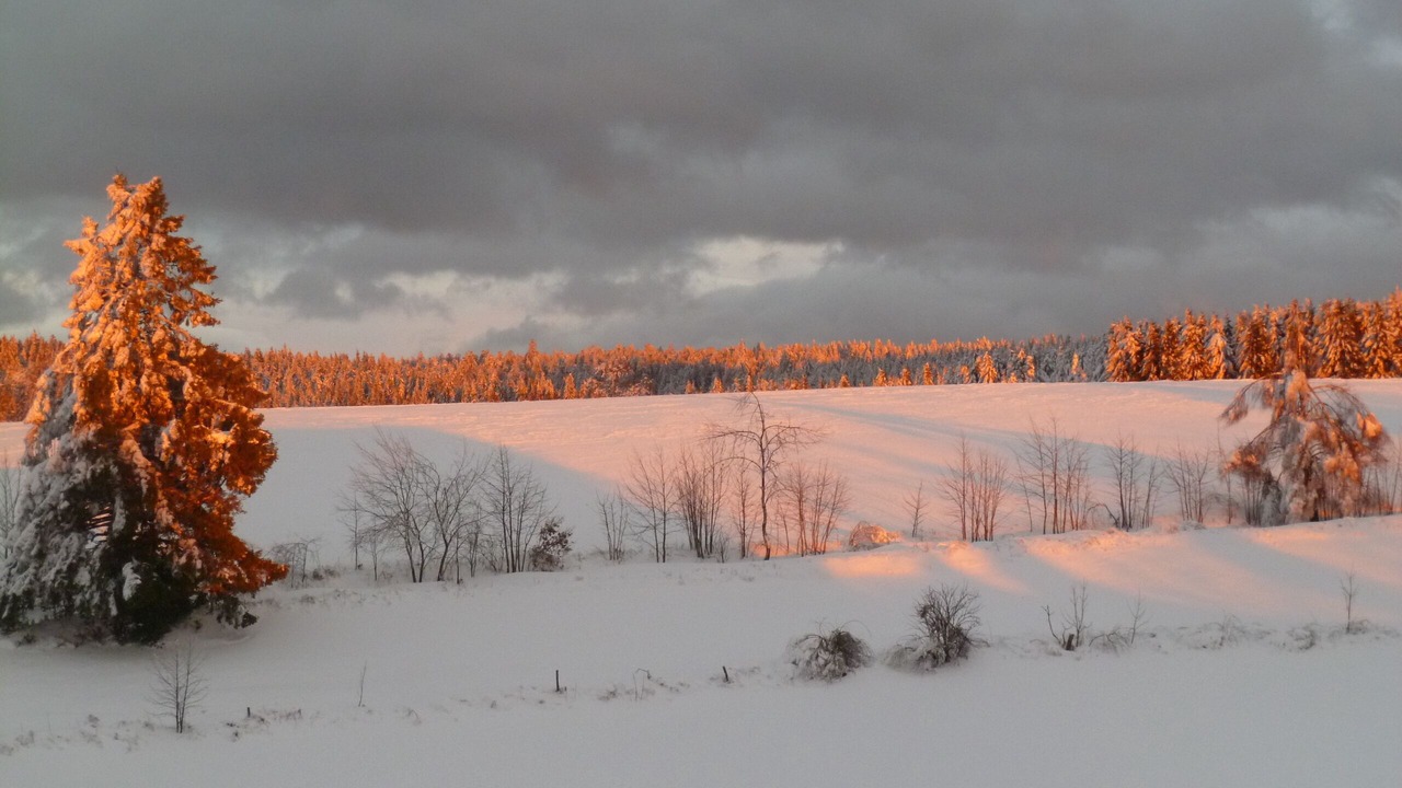 Photo of Others in Sapois