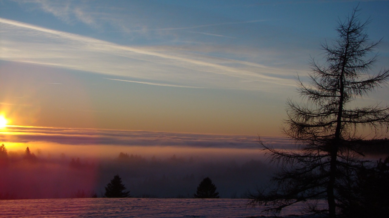 Photo of Others in Sapois