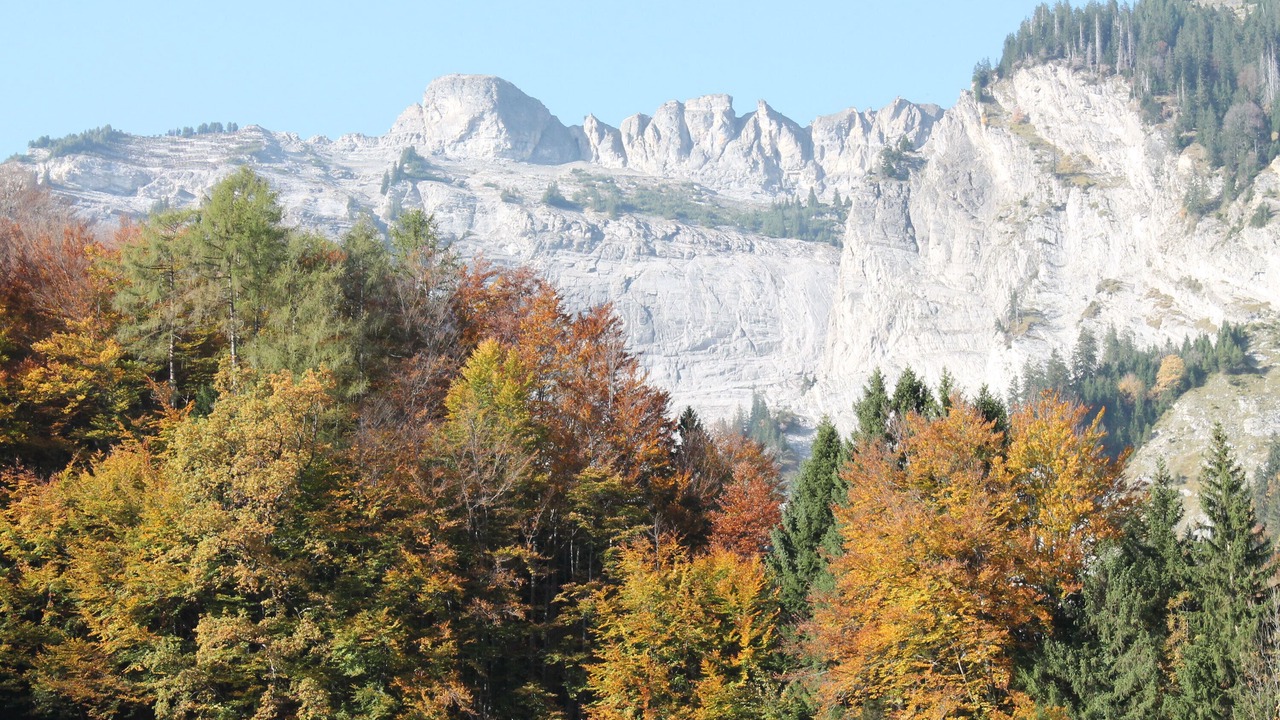 Photo of Others in Schwanden bei Brienz