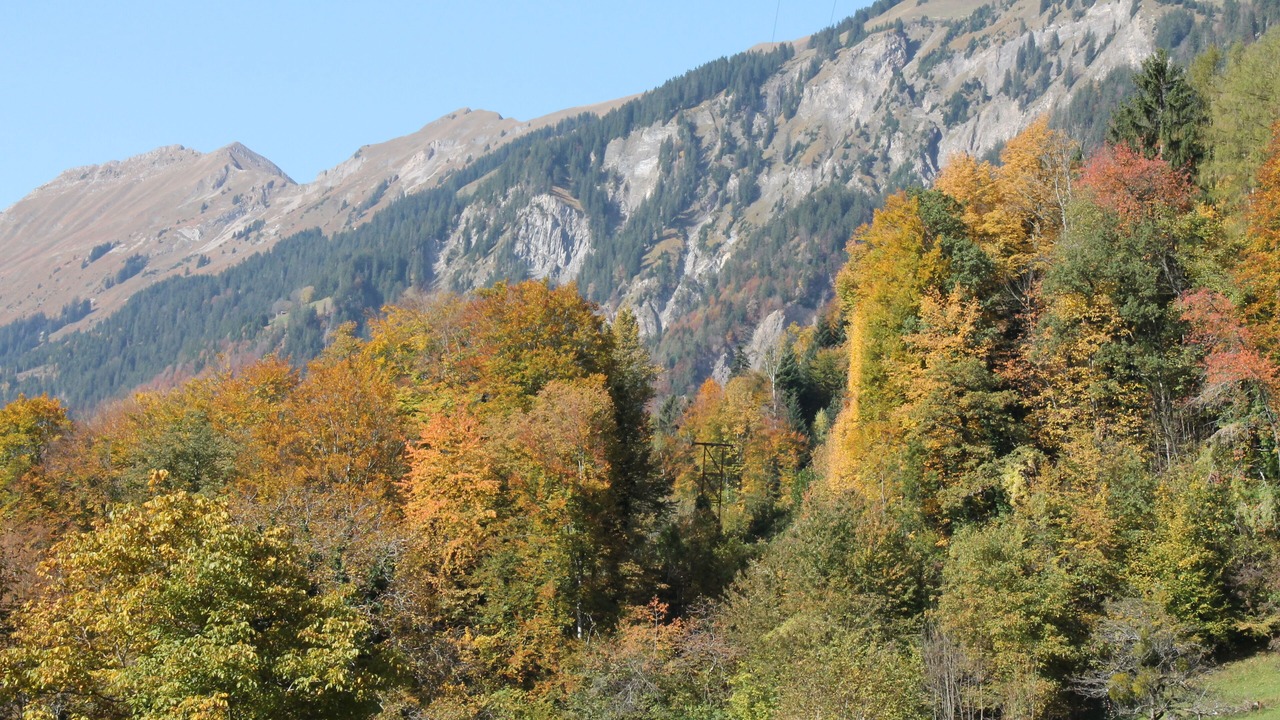 Photo of Others in Schwanden bei Brienz