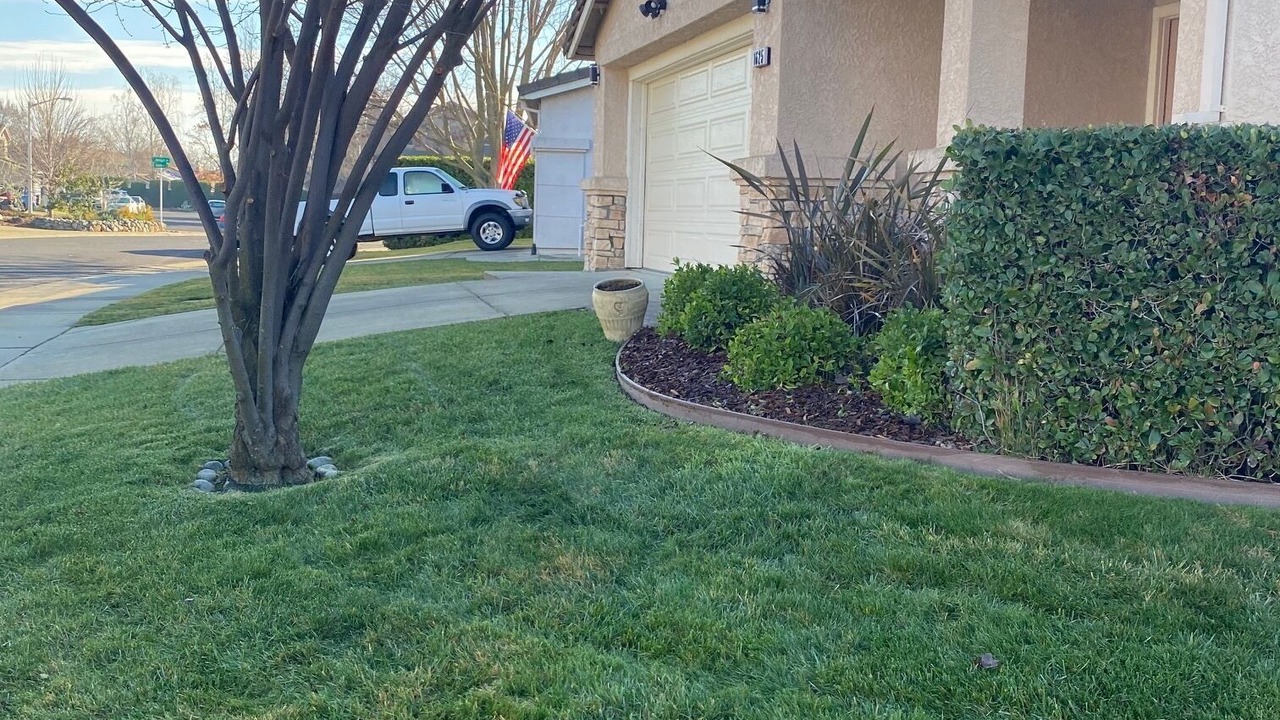 Photo of Outdoor in Roseville